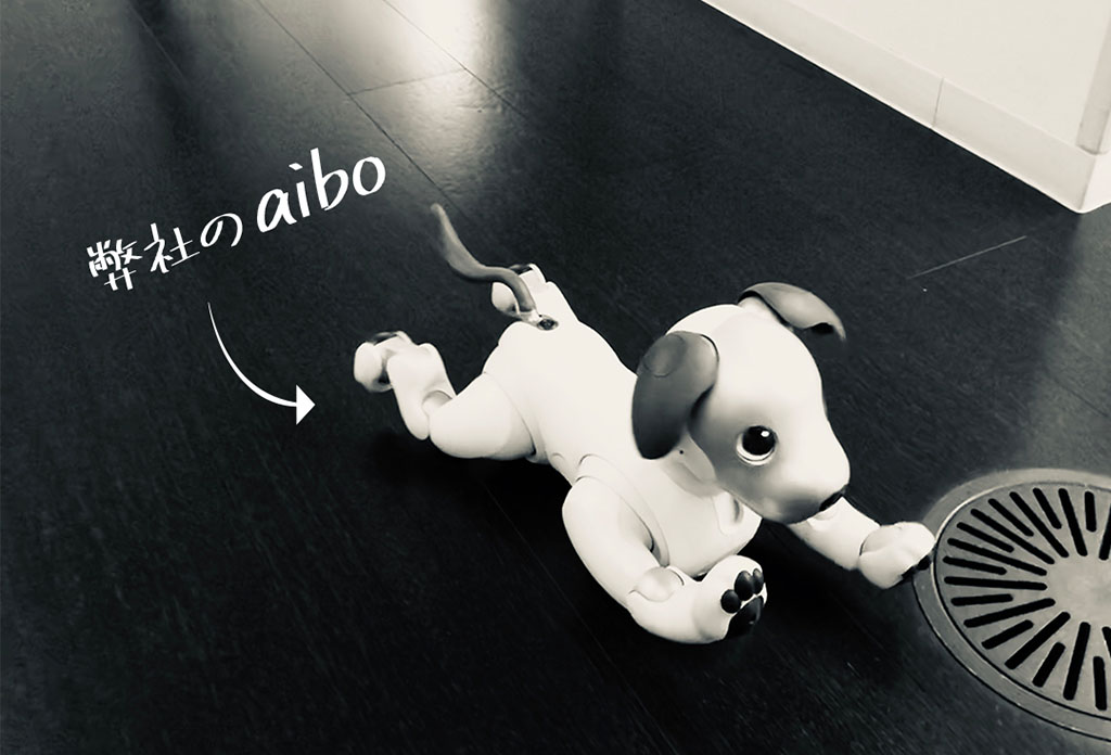 弊社のaiboが床におなかをくっつけて寝そべっている様子